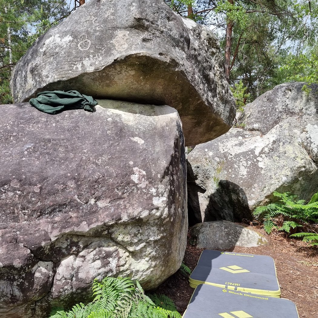 Apremont Bizons 3